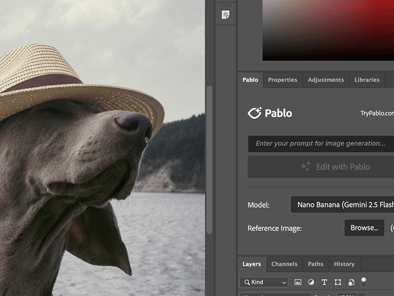 Use Nano Banana and Seedream 4.0 directly in Photoshop